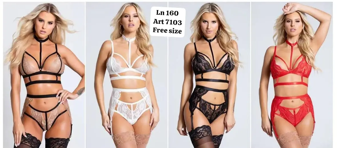 3 Piece Bikini Garter Lingerie Set (Bra, Thong Panty & Garter Belt)