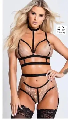 3 Piece Bikini Garter Lingerie Set (Bra, Thong Panty & Garter Belt) - Image 6