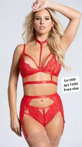 3 Piece Bikini Garter Lingerie Set (Bra, Thong Panty & Garter Belt) - Image 4